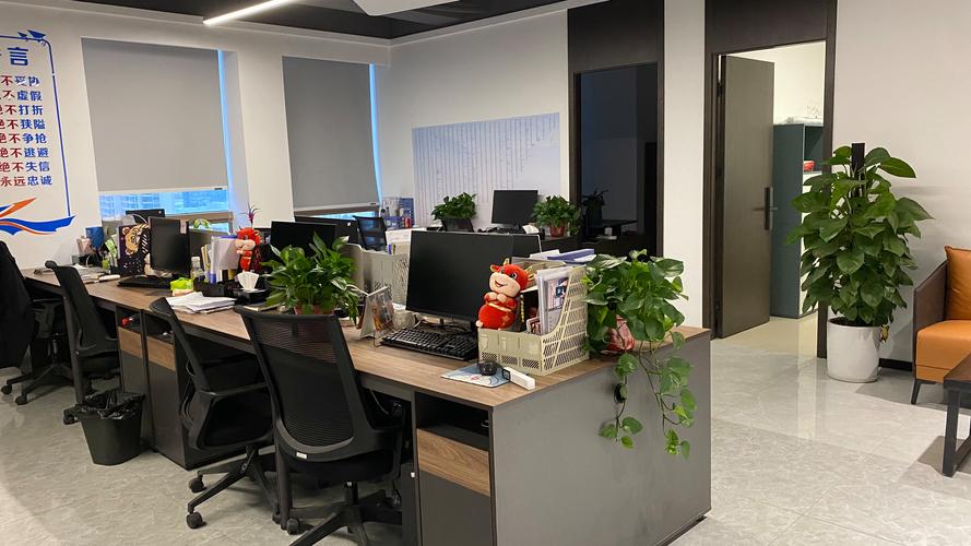 高文倩,公司经营范围包括:玩具销售;玩具,动漫及游艺用品